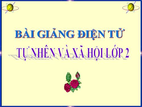 Bài 28. Một số loài vật sống trên cạn