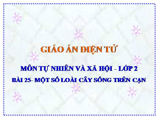 Bài 25. Một số loài cây sống trên cạn
