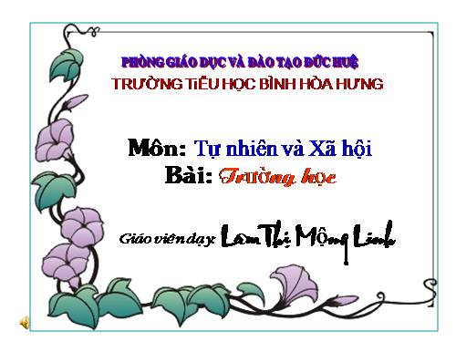 Bài 15. Trường học