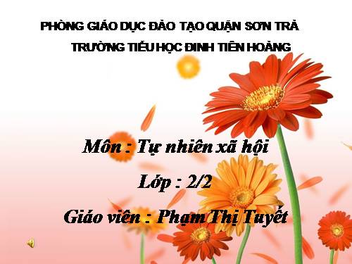 Bài 12. Đồ dùng trong gia đình