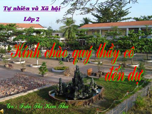 Bài 16. Các thành viên trong nhà trường