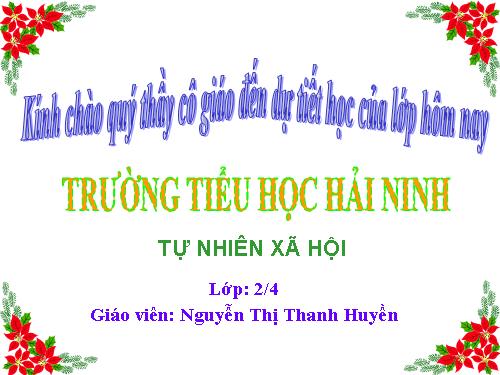 Bài 16. Các thành viên trong nhà trường