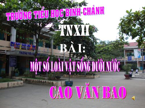 Bài 29. Một số loài vật sống dưới nước