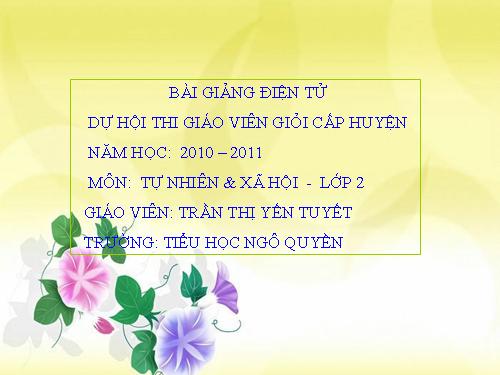 Bài 19. Đường giao thông
