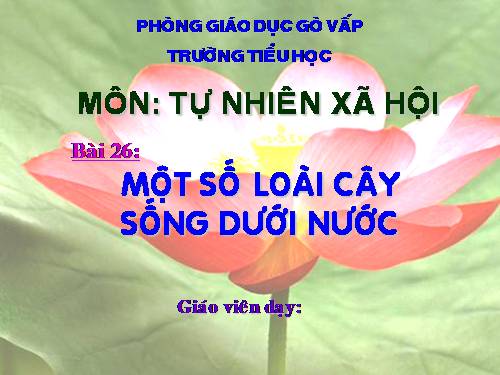 Bài 26. Một số loài cây sống dưới nước