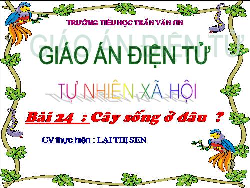 Bài 24. Cây sống ở đâu?