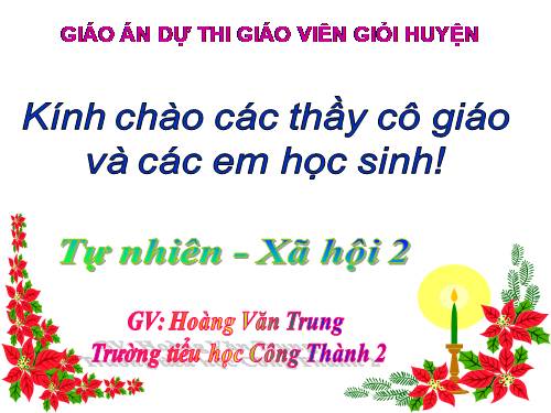 Bài 20. An toàn khi đi các phương tiện giao thông