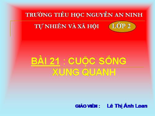 Bài 21. Cuộc sống xung quanh