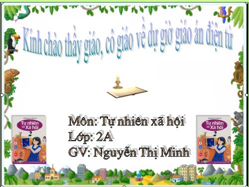Bài 16. Các thành viên trong nhà trường
