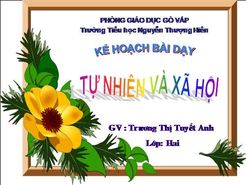 Bài 25. Một số loài cây sống trên cạn
