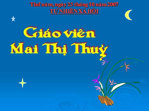 Bài 19. Đường giao thông
