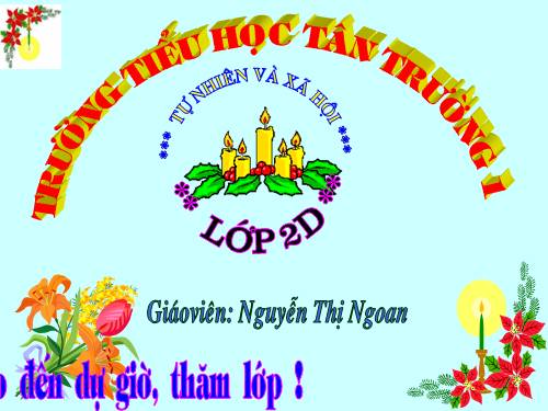 Bài 9. Đề phòng bệnh giun