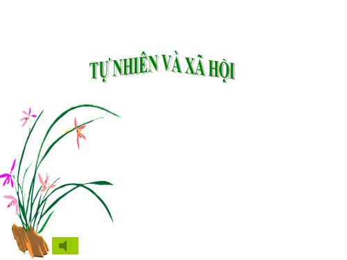 Bài 12. Đồ dùng trong gia đình