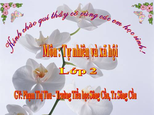 Bài 13. Giữ sạch môi trường xung quanh nhà ở