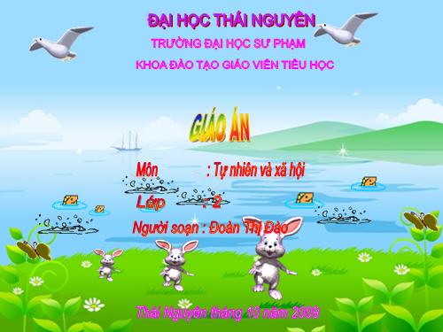 Bài 27. Loài vật sống ở đâu?
