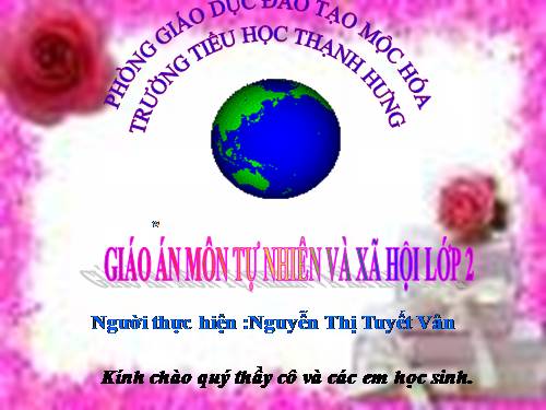 Bài 14. Phòng tránh ngộ độc khi ở nhà
