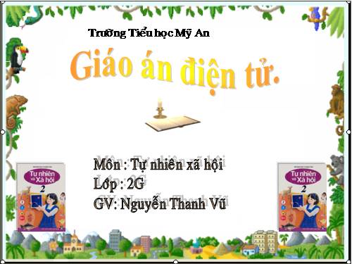 Bài 16. Các thành viên trong nhà trường