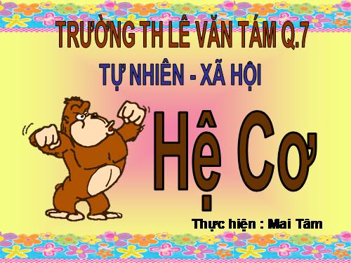 Bài 3. Hệ cơ