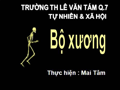 Bài 2. Bộ xương