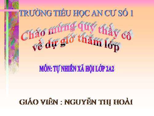 Bài 10. Ôn tập: Con người và sức khoẻ