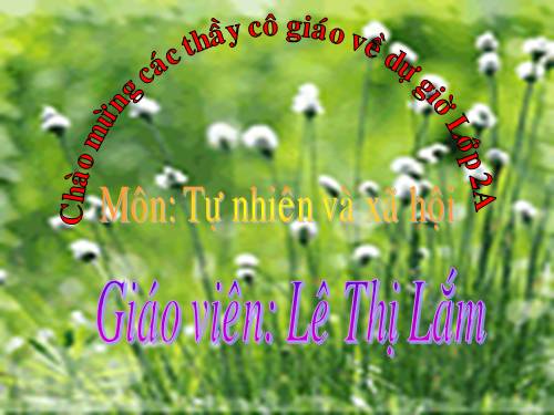 Bài 11. Gia đình