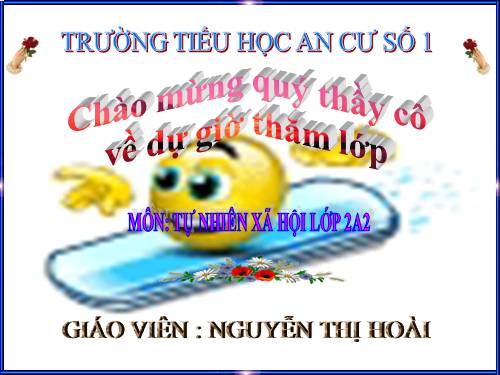 Bài 10. Ôn tập: Con người và sức khoẻ