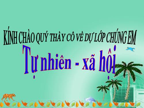 Bài 24. Cây sống ở đâu?