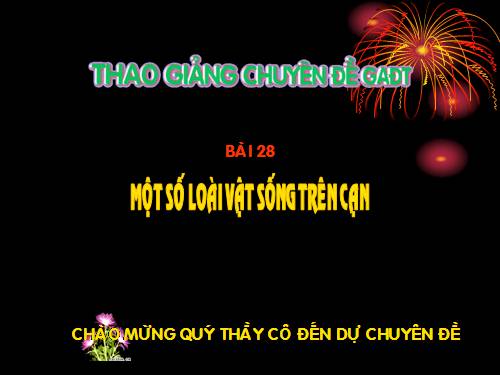 Bài 28. Một số loài vật sống trên cạn