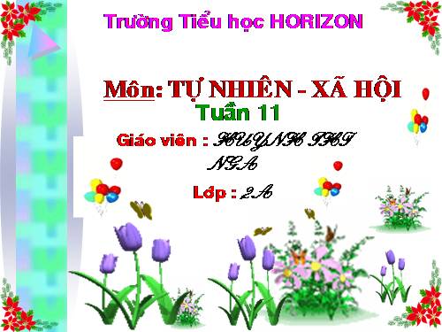 Bài 11. Gia đình