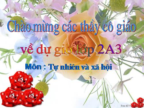 Bài 8. Ăn, uống sạch sẽ