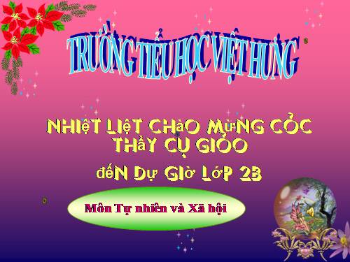 Bài 31. Mặt Trời