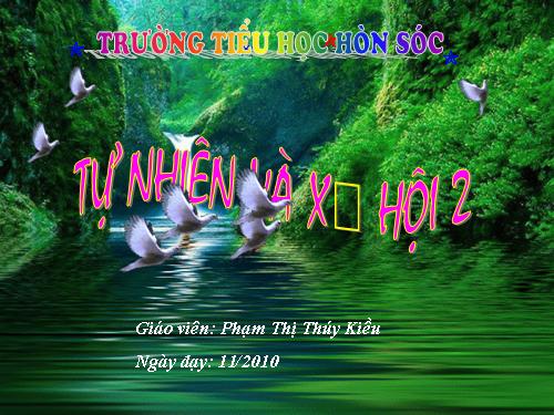 Bài 13. Giữ sạch môi trường xung quanh nhà ở