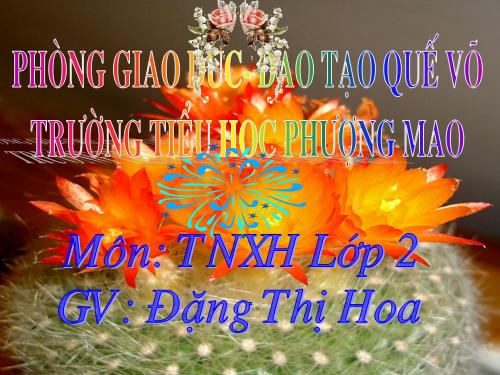 Bài 8. Ăn, uống sạch sẽ