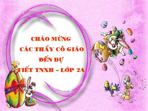 Bài 8. Ăn, uống sạch sẽ