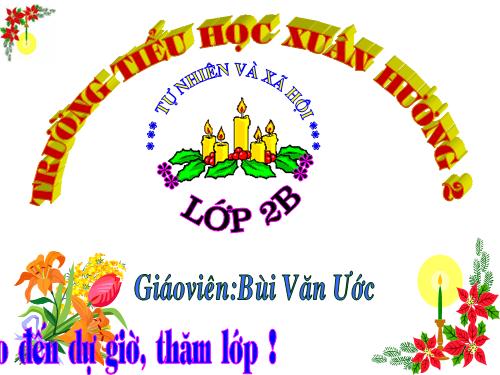 Bài 9. Đề phòng bệnh giun