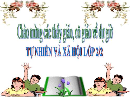 Bài 24. Cây sống ở đâu?
