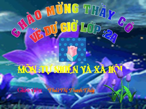 Bài 5. Cơ quan tiêu hoá