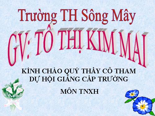 Bài 8. Ăn, uống sạch sẽ