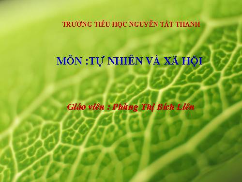 Bài 8. Ăn, uống sạch sẽ