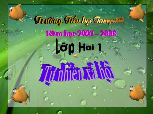 Bài 29. Một số loài vật sống dưới nước