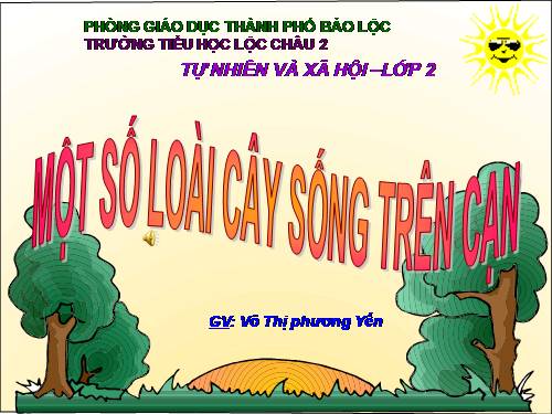 Bài 25. Một số loài cây sống trên cạn