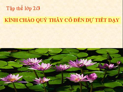 Bài 13. Giữ sạch môi trường xung quanh nhà ở