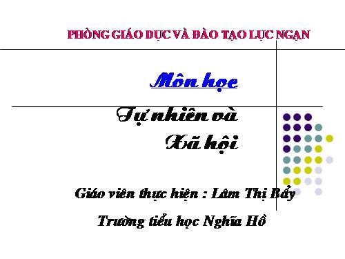 Bài 11. Gia đình