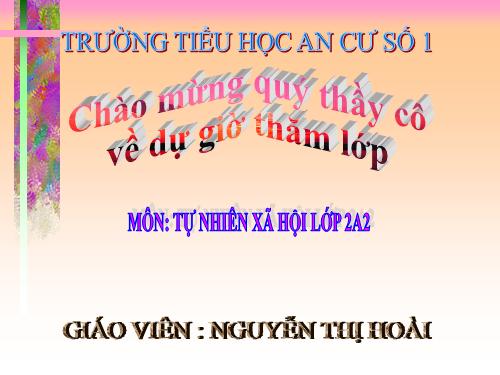 Bài 10. Ôn tập: Con người và sức khoẻ