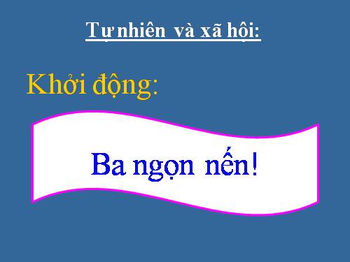 Bài 11. Gia đình