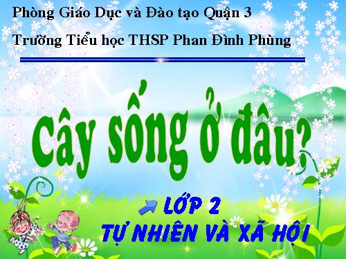 Bài 24. Cây sống ở đâu?