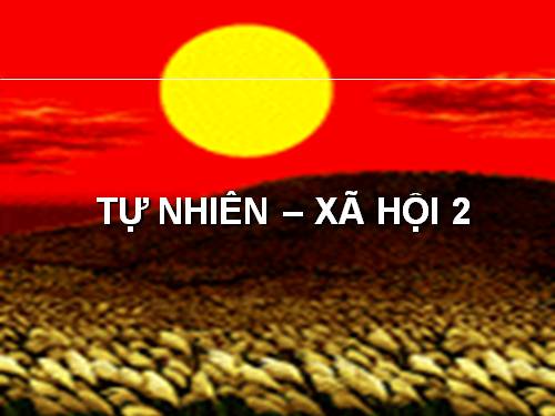 Bài 11. Gia đình