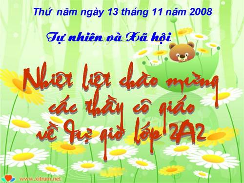 Bài 11. Gia đình