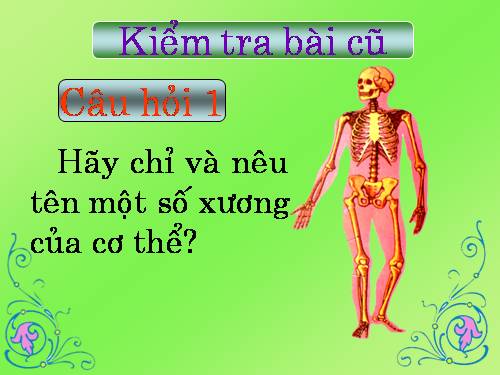 Bài 3. Hệ cơ