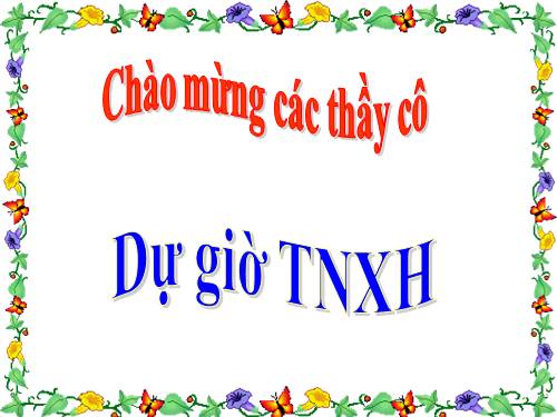 Bài 28. Một số loài vật sống trên cạn